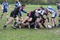 RUGBY CHARTRES 180.JPG
